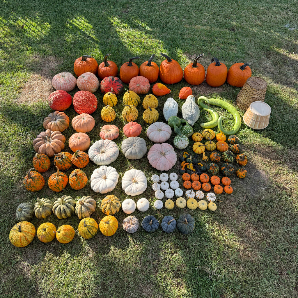 Heirloom Porch - Large