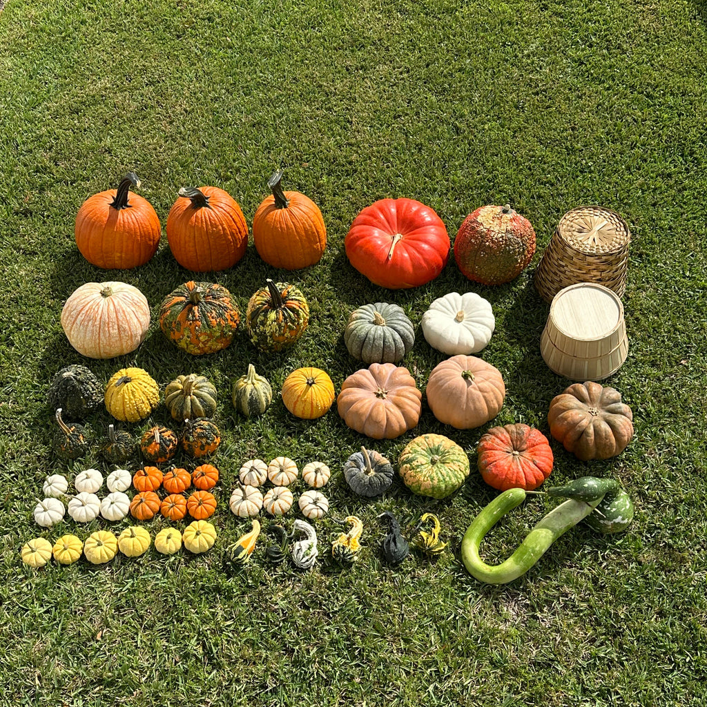 Heirloom Porch - Medium