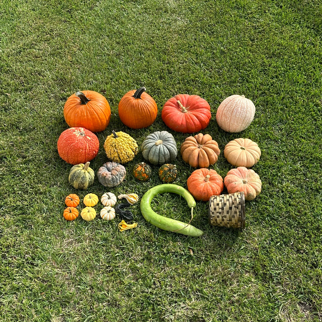 Heirloom Porch - Small