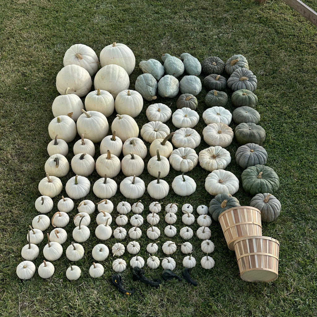 The Harvest Drop