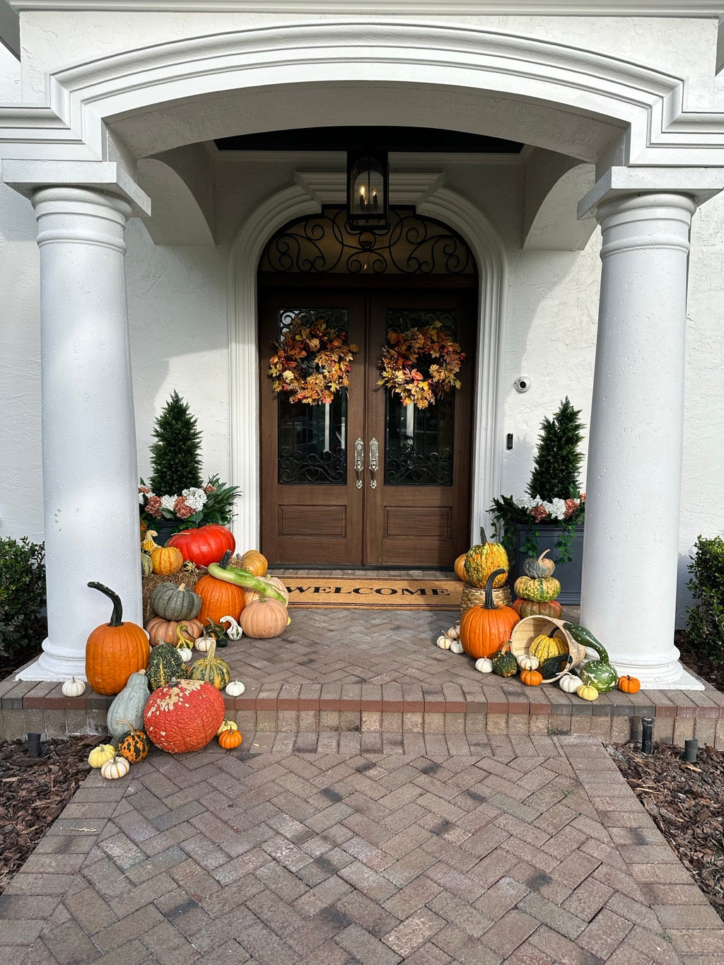 The Harvest Drop: farm-sourced heirloom pumpkins delivered