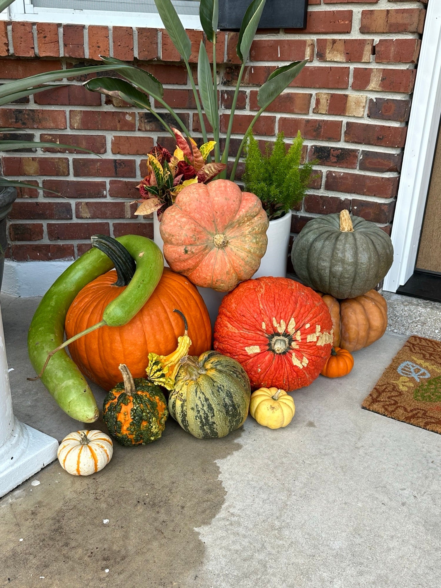 The Classic pumpkin porch install photo