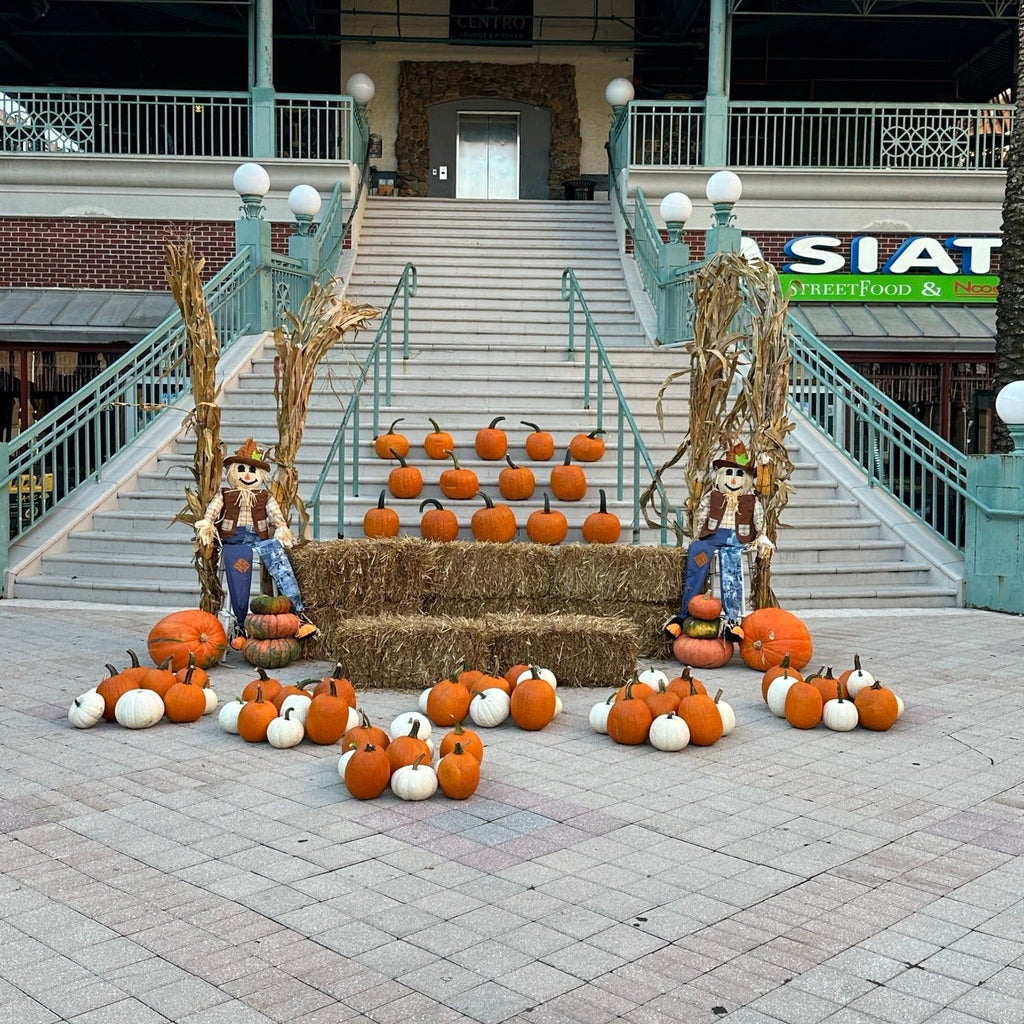 The Enterprise Porch pumpkin porch install photo