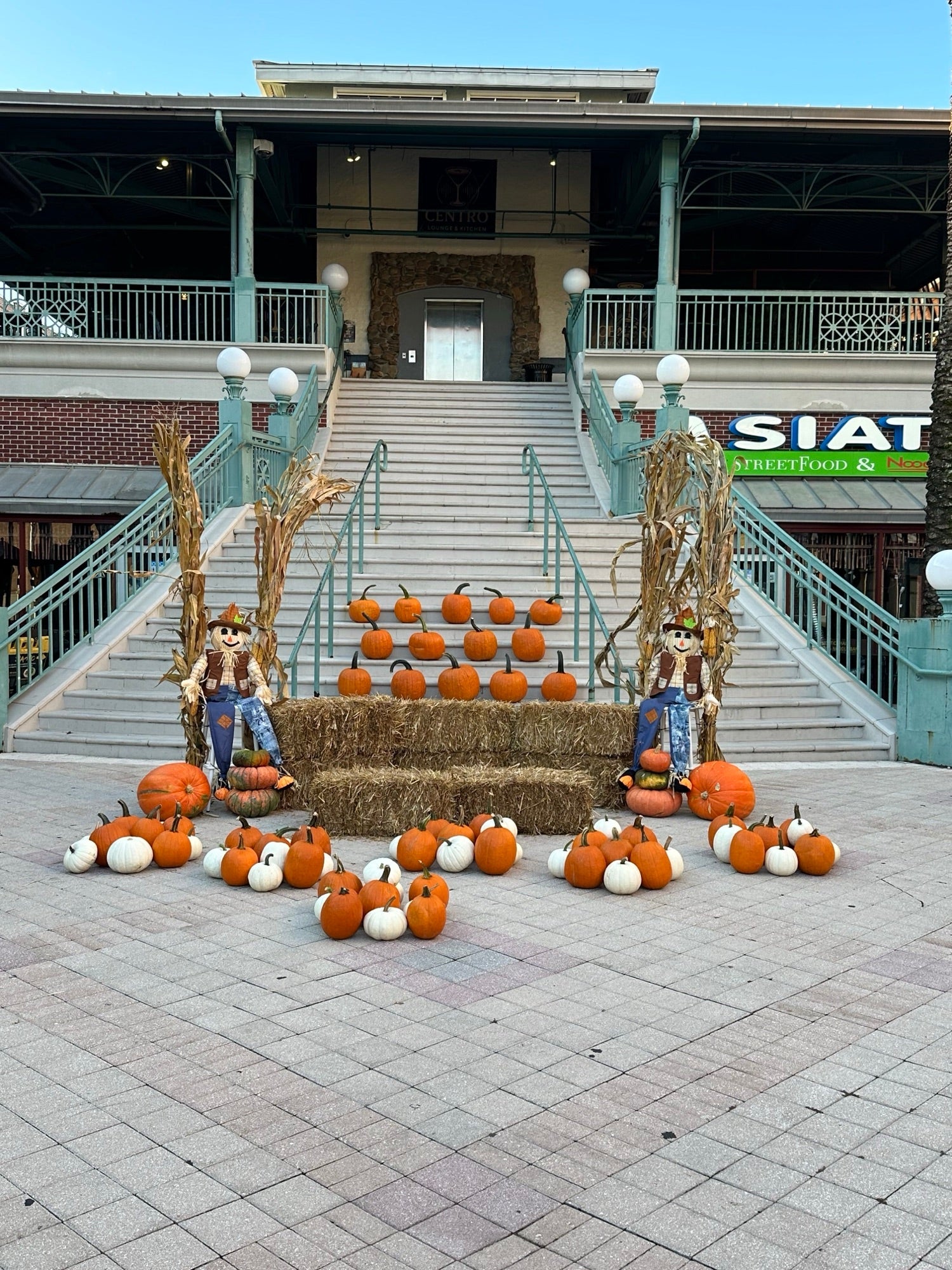The Enterprise Porch pumpkin porch install photo
