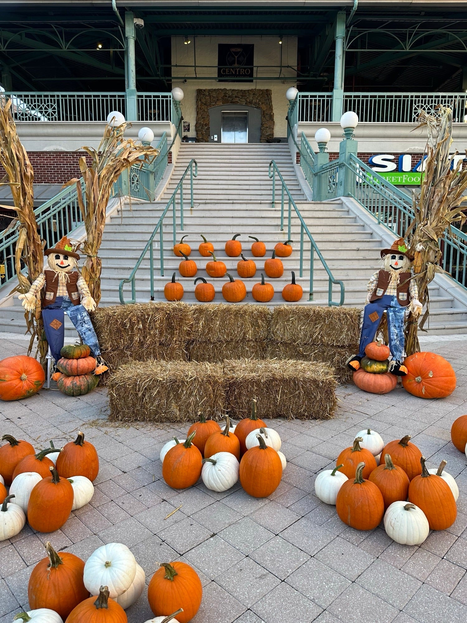 The Enterprise Porch pumpkin porch install photo