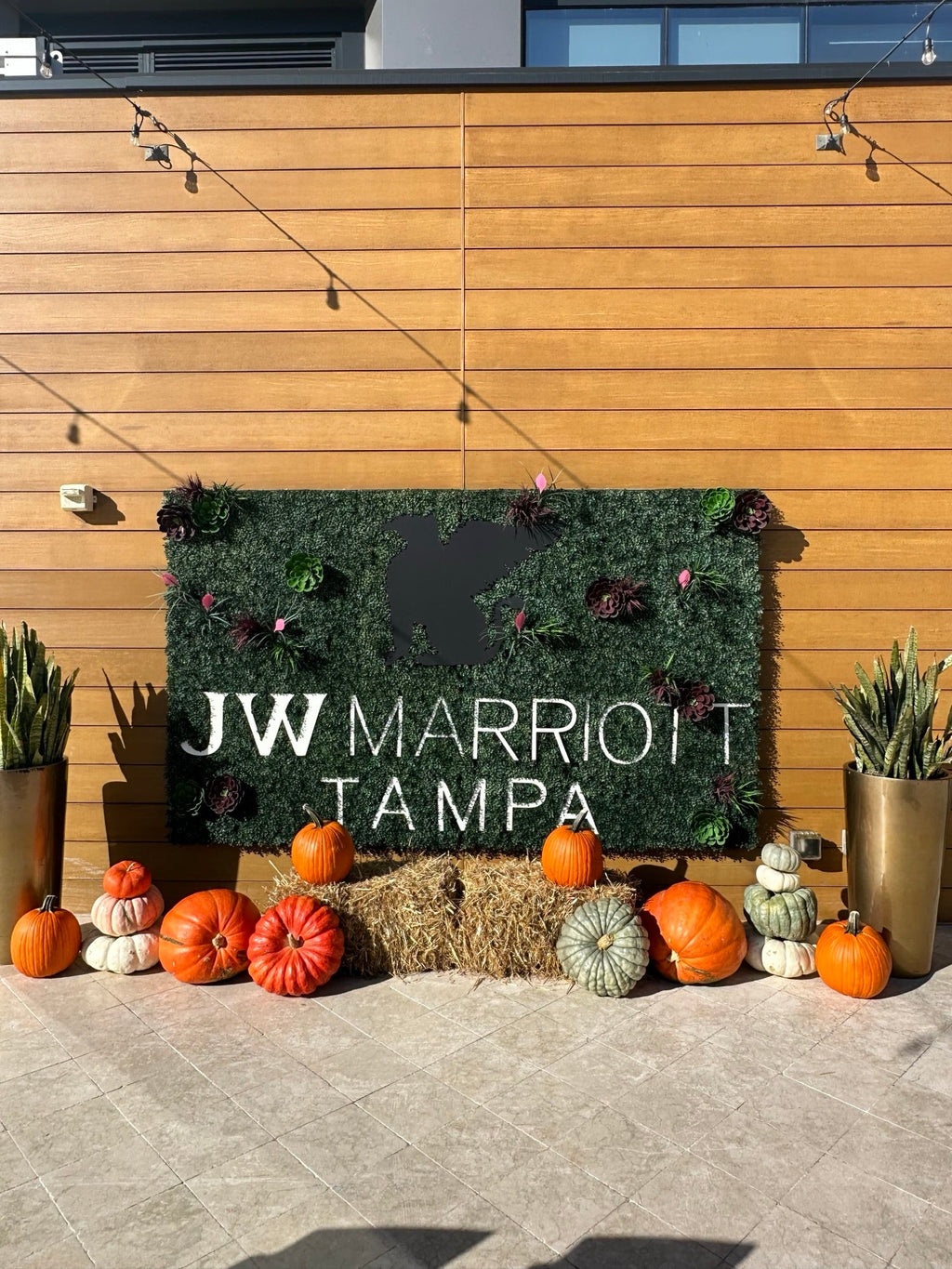 The Harvest Drop: farm-sourced heirloom pumpkins delivered