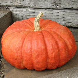 Cinderella's Carriage